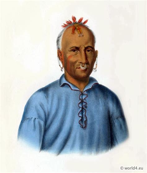 Kishkalwa A Shawnee Chief The Head Chief Of The Shawnee Nation