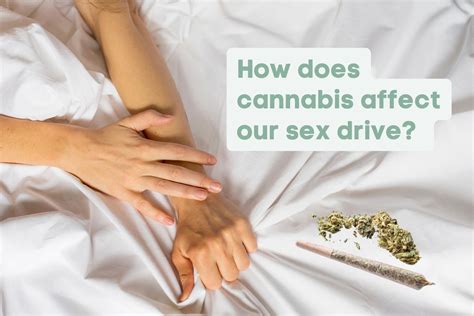 “high” Quality Sex Cannabis’ Influence On Libido Cbd Livity