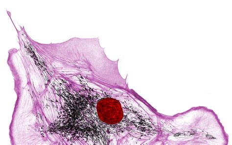 Sim Hms Super Resolution Microscopy In The Department Of Cell