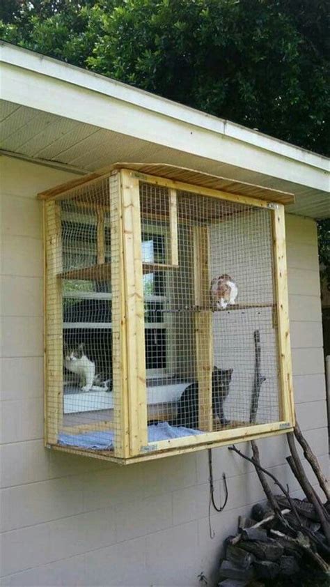 Cat Window Box Cat Solarium And Cat Window Sill Perch Cat House Diy