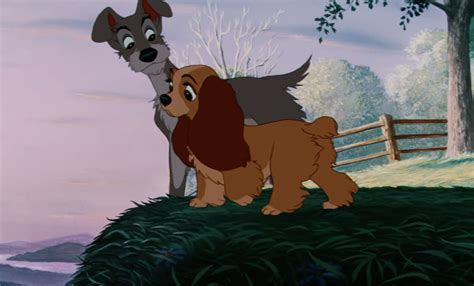 10 Things You Didnt Know About Lady And The Tramp Oh My