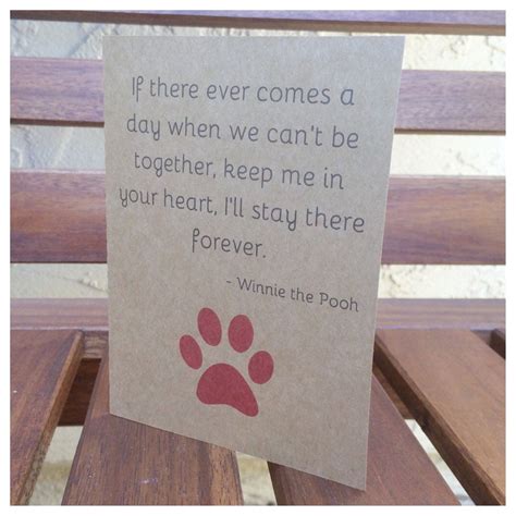 When a dog dies, there is surely a family who is in need of kindness and compassion. loss of a pet quote - Google Search | Cat quotes, Animal quotes, Dog cards