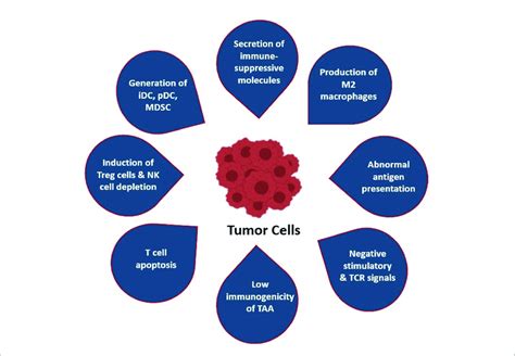 most common immune evasion strategies by tumor cells i secretion download scientific