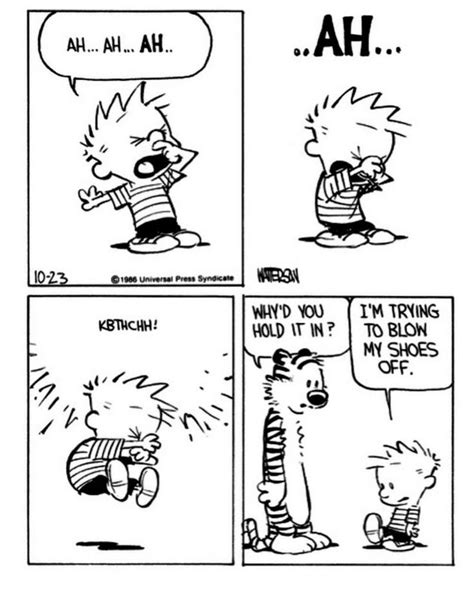 Calvin And Hobbes On Twitter Calvin And Hobbes Humor Calvin And
