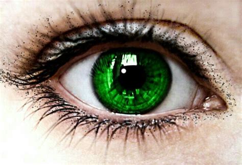 Pin By Sophiawurzer On 그림 Pictures Dark Green Eyes Green Eyes