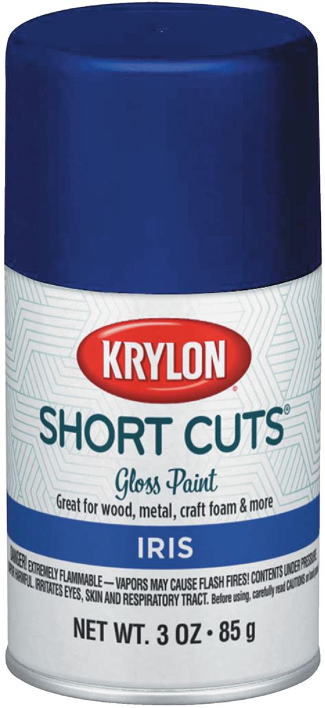 Buy Krylon Short Cuts Enamel Spray Paint 3 Oz Iris