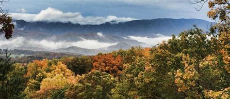 2024 Ultimate Smoky Mountain Fall Foliage Map Guide