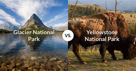 Glacier National Park Vs Yellowstone National Park Sampling America