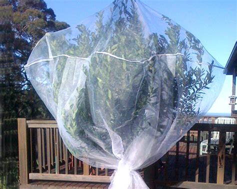 Fruit tree netting is the ideal way to protect your fruit from pest birds and other small animals. GardensOnline: Fruit Saver Net