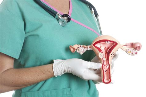 Endometrium Hyperplasie Risiken Typen Und Behandlungen