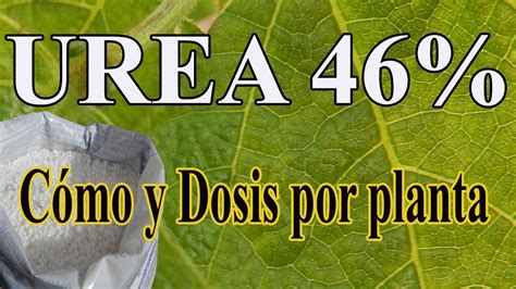 details 100 urea para árboles frutales abzlocal mx