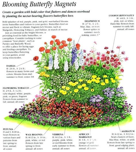 Zone 8 Flowers Zone 3 Garden Plans Elegant Best Ideas About Prairie