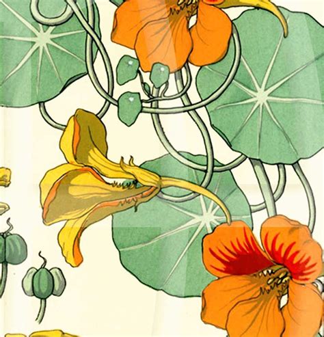 Vintage Botanical Poster Art Reproduction Nasturtium By Etsy In 2021
