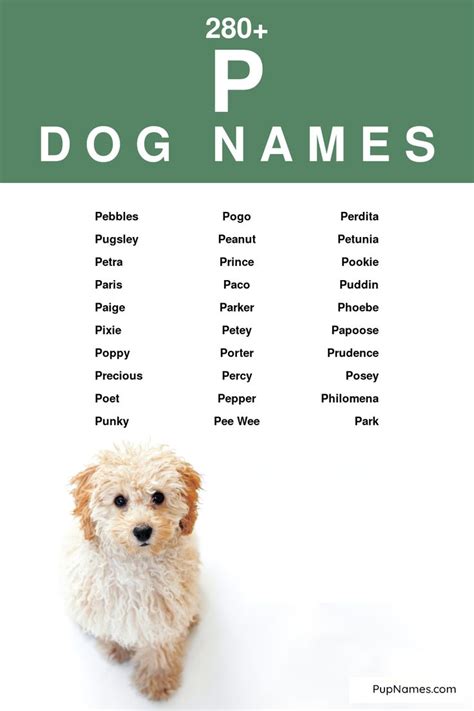 280 Dog Names Starting With P With Meanings Nombres Italianos Para