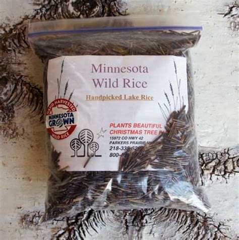 A century of research in natural resources. 2 pounds of Minnesota grown Wild Rice | Plants Beautiful ...
