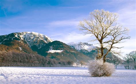 Mountains Landscapes Nature Winter Snow Trees
