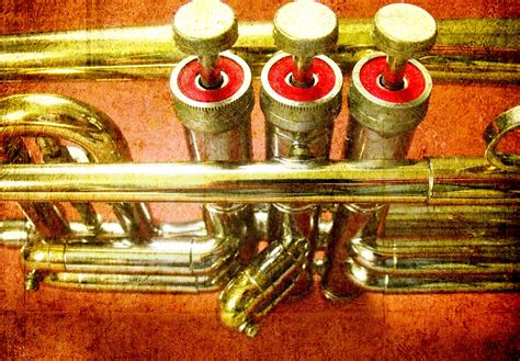 Trumpet Free Stock Photo Public Domain Pictures