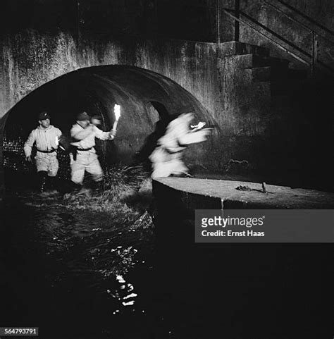 The Third Man Film Photos And Premium High Res Pictures Getty Images