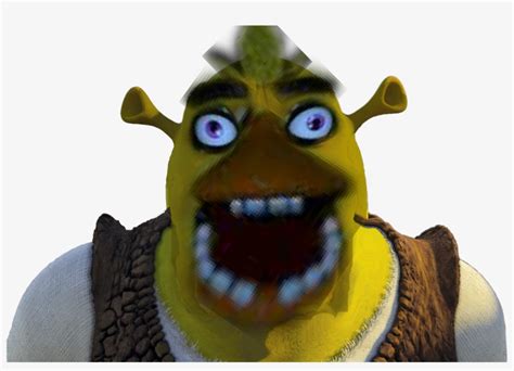 Download Shrek Face Zoomed Up Meme Shrek Invisible Background