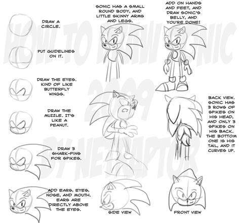 How To Draw Sonic By Netraptor On Deviantart