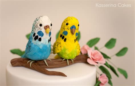 Budgie Cake Toppers With Pink Climbing Roses Celebration Cakes Cake