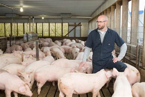 National Pork Farm Bureau File Legal Challenge To Californias
