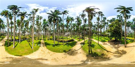 360° View Of Palmentuin Paramaribo Suriname Alamy