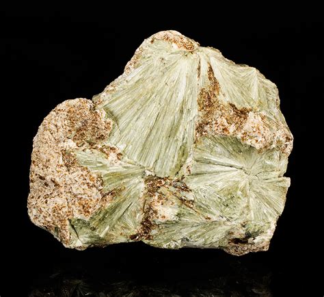 Actinolite - Minerals For Sale - #1505732