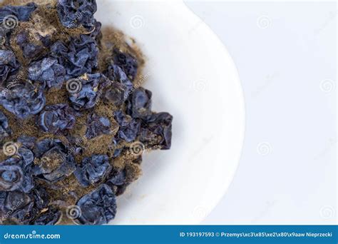 Rotten Berries In The White Bowl Stock Image Image Of Rotten Spore