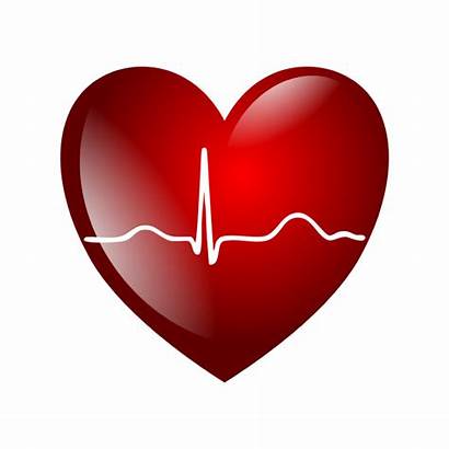 Heart Heartbeat Clip Cardiac Beat Clipart Arrest