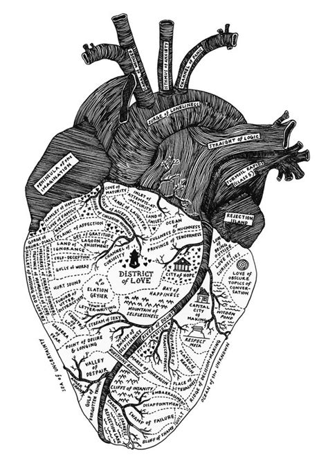 Map Of A Womans Heart By Margaret Kimball Via Behance Anatomy Art