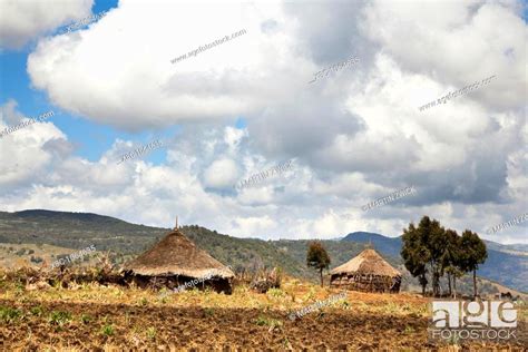 Huts And Fields Of Local Oromo People Near The Bale Moutains National