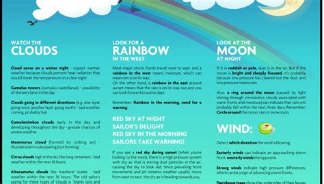How To Predict The Weather Using Only Nature Infographic