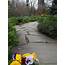 Flagstone Walkways & Pathways  Naturescapes Landscape Specialists