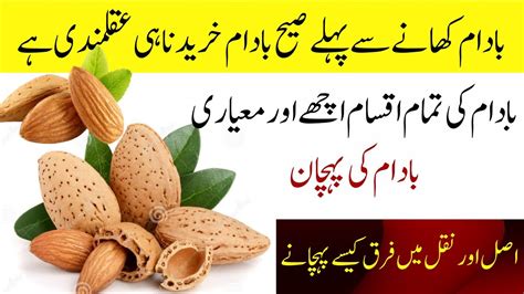 How Many Types Of Almond Badam Ki Kitni Qisam Hain All Type