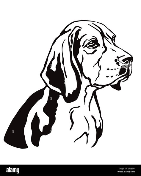 Decorative Contour Outline Portrait Of Dog Beagle Looking In Profile