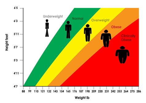Bmi Calculator How To Calculate Your Bmi