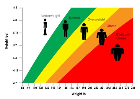 The best thing about the bmi chart is that you do not need to perform a complex calculation arithemetic itself makes the task so much easier for you. The Link Between BMI & Longevity… | 40fit