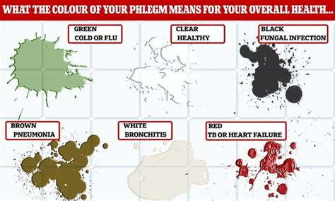 What Does The Colour Of Your Phlegm Mean From A Cold To Pneumonia