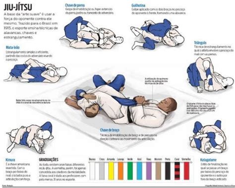 how many brazilian jiu jitsu techniques do you really need bjj world