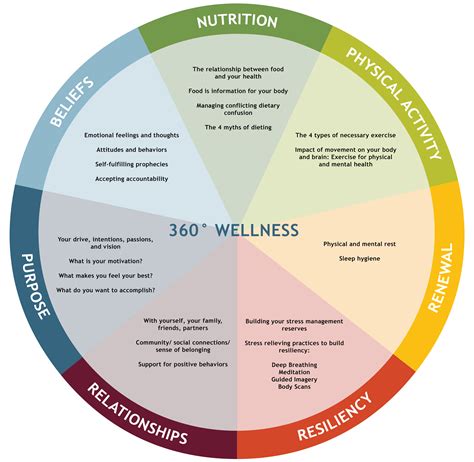 Wheel Of Wellness Model