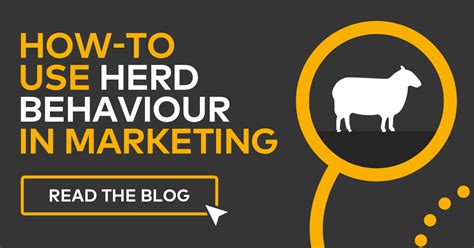 How To Use Herd Behaviour In Marketing The Behaviours Agency