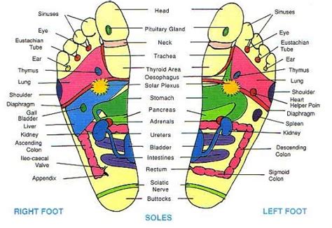 Reflexology For Headache Points And How To Apply New Health Advisor