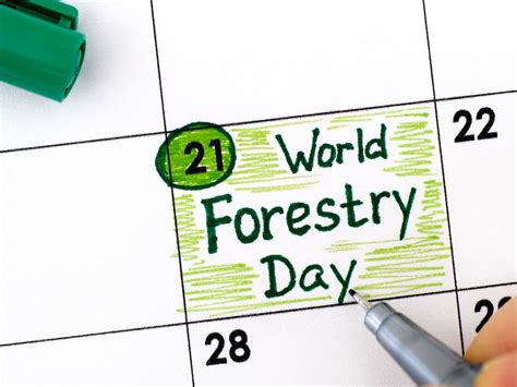 World Forestry Day Or International Day Of Forests 2023 Date Theme