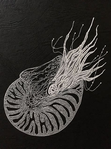 Detailed Paper Cuts Swirling Forms Of Nature By Kiri Ken