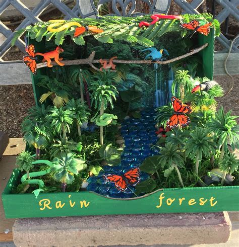 First Grade Rainforest Habitat Project Most Items Were Purchased At