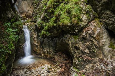 Little Clear Waterfall In A Forest With Green Plants Stock Image