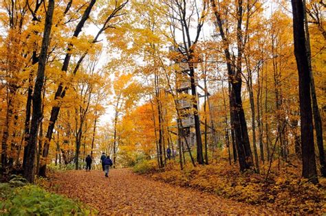 See Fall Colors In Wisconsin From Above On These Observation Towers