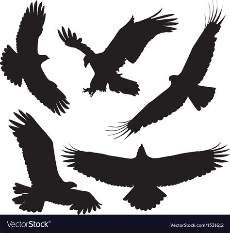Eagle Silhouette Royalty Free Vector Image Vectorstock