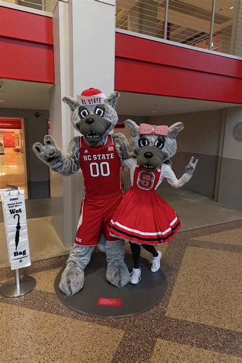 Mr Wuf And Mrs Wuf North Carolina State University Mascots Photograph